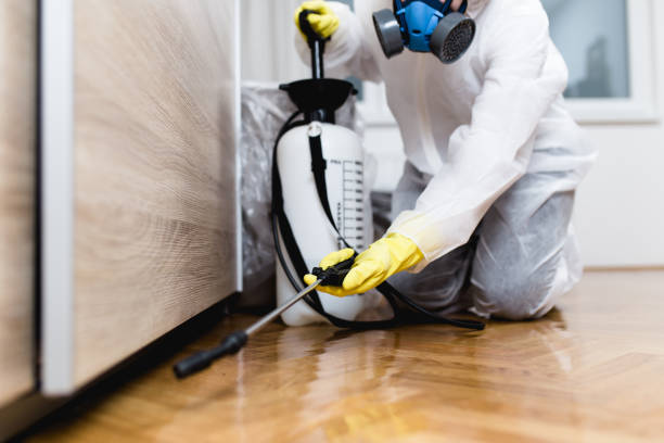 Best Insect Control  in Chesterton, IN