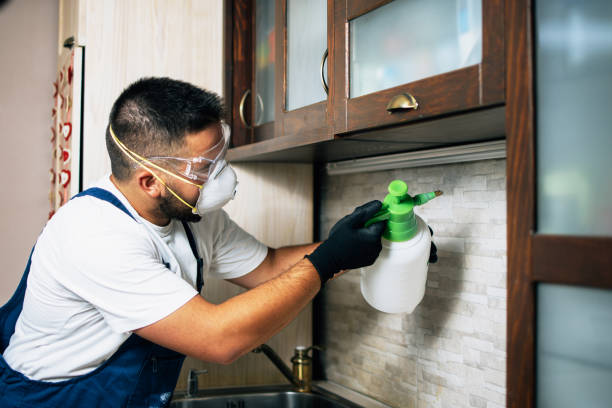 Best Flea Control Services  in Chesterton, IN