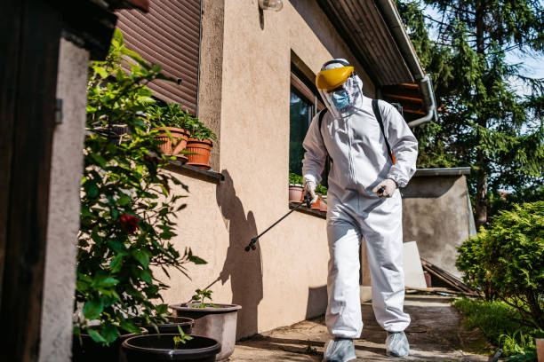 Best Local Pest Control Services  in Chesterton, IN