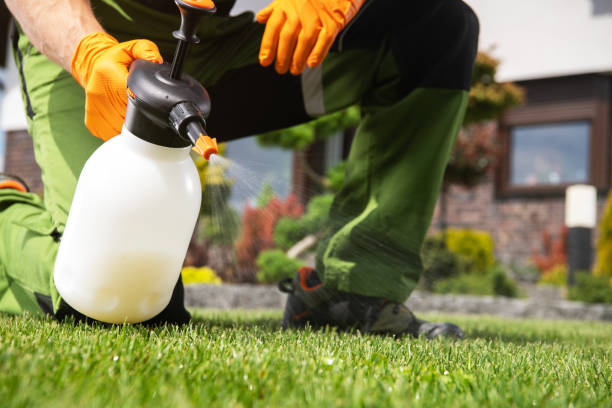 Best Residential Pest Control  in Chesterton, IN