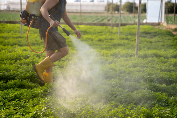Best Commercial Pest Control Services  in Chesterton, IN